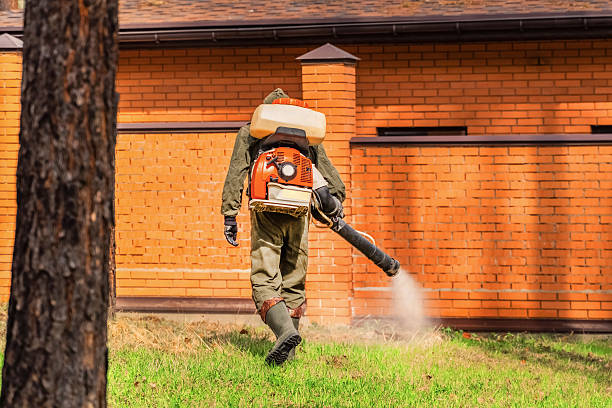 Trusted Rodent Control service in Boles Acres, NM - Nex Pest Control